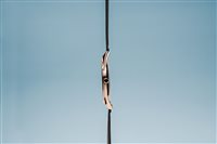 Orologio Bering Donna Ultra Slim in Acciaio placcato oro rosa 17031/166 - 17031/166